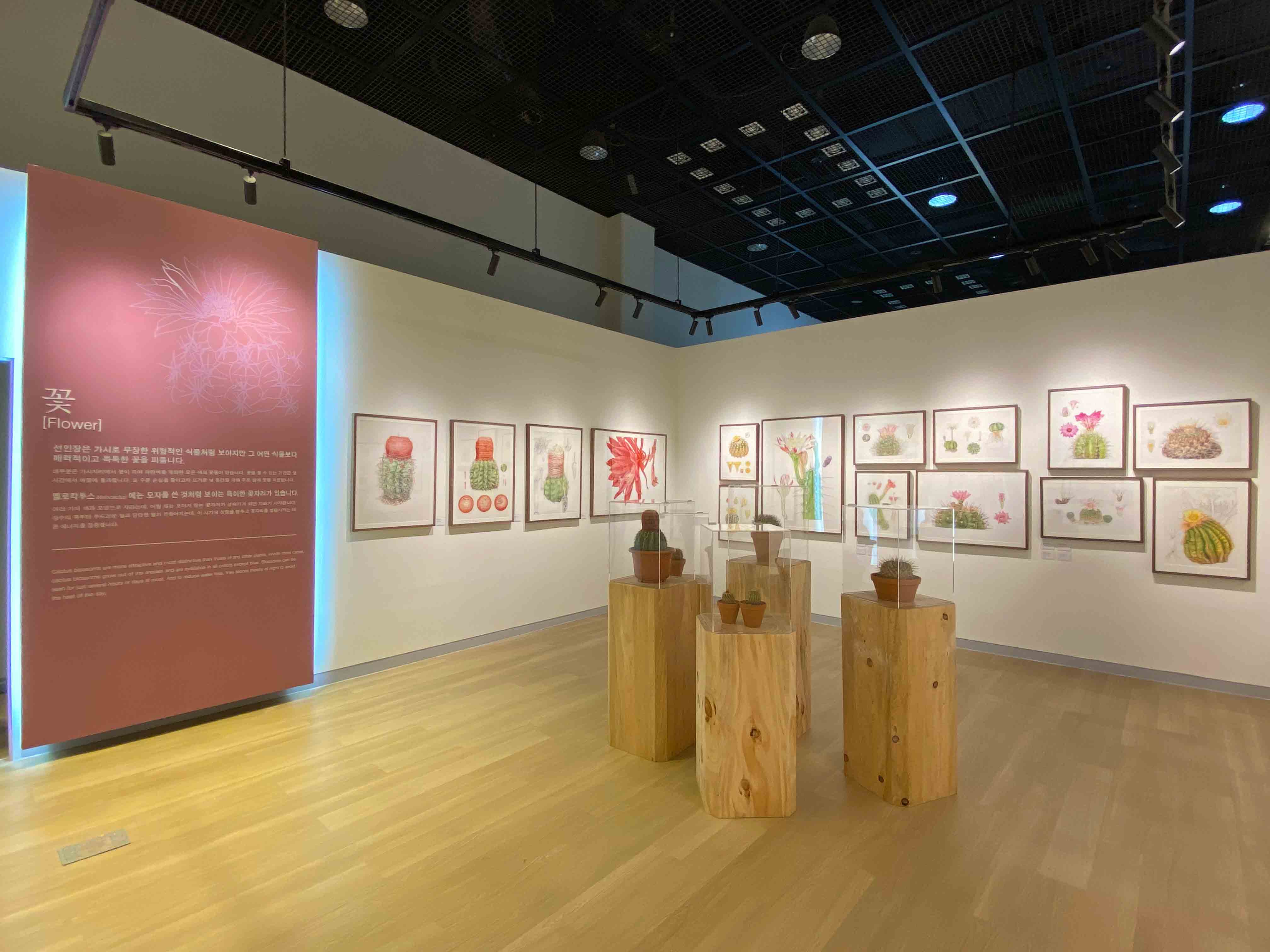 PLATZLAB project image